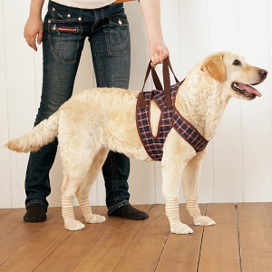 アシスタントバンド前脚用（歩行補助ハーネス）｜ ペット用品の通販