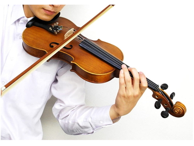 送料無料】Hallstatt ハルシュタット ヴァイオリン V-12 4/4サイズ