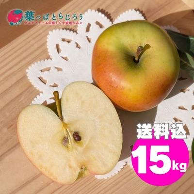 ぐんま名月葉っぱとらじろうりんご15kg | タムラファームショップ
