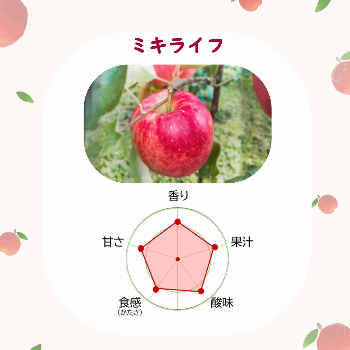 未希ライフりんご 3kg | タムラファームショップ