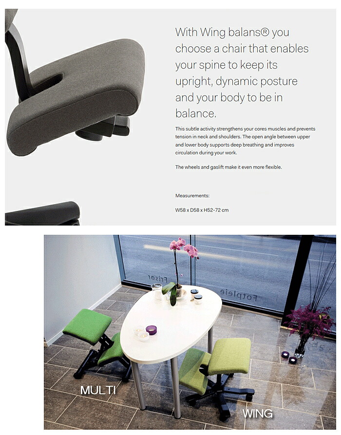 楽天市場】＼P10倍 ワンダフルデー／ バランスウィング ブラック