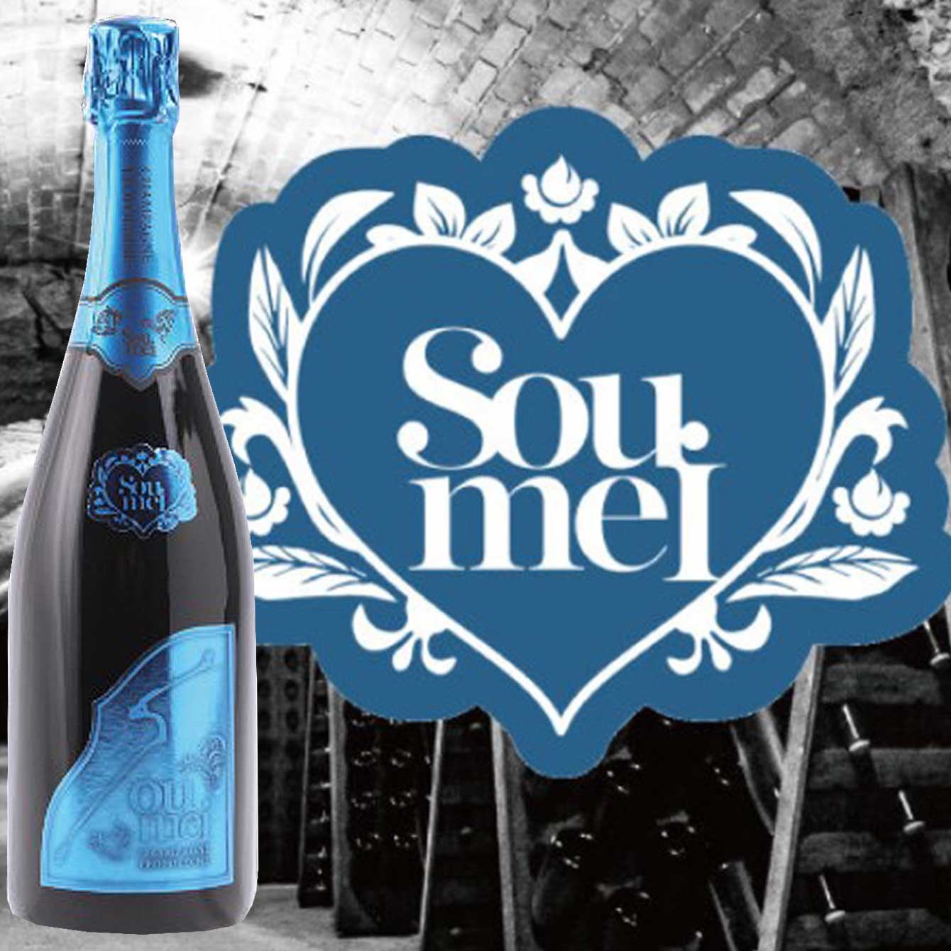 楽天市場】＊楽天ランキング受賞＊ ＜正規品＞あす楽 SOUMEI ソウメイ