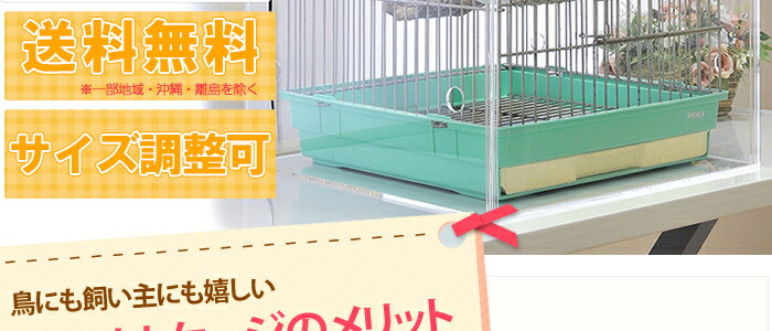 【美品】アクリル バードケージ　W500×H500×D485 楽天市場】【プレミアム】W500×H500×D485 アクリル バードケージ