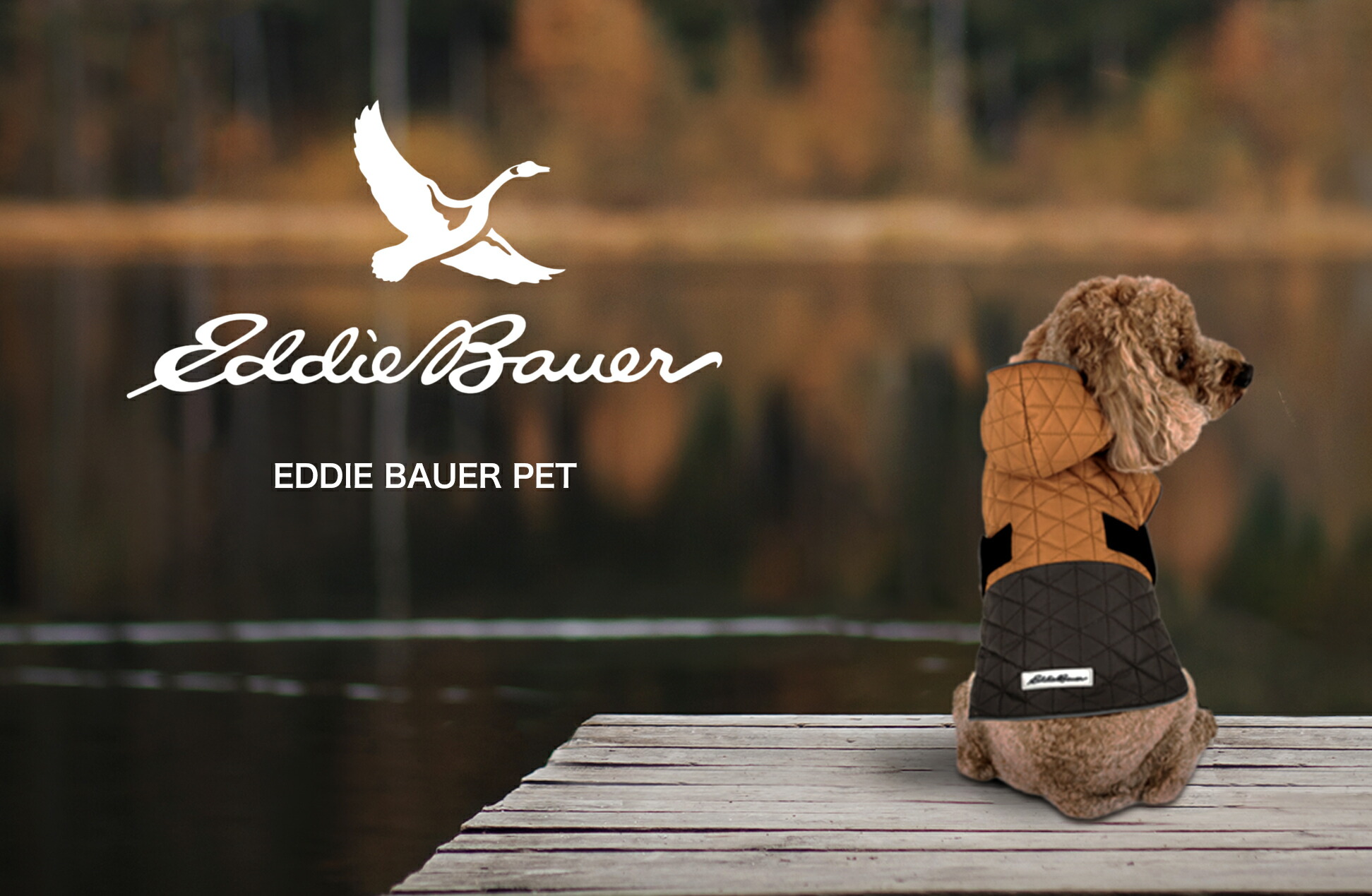 楽天市場】エディバウアー【Eddie Bauer】犬用 タートルネックセーター
