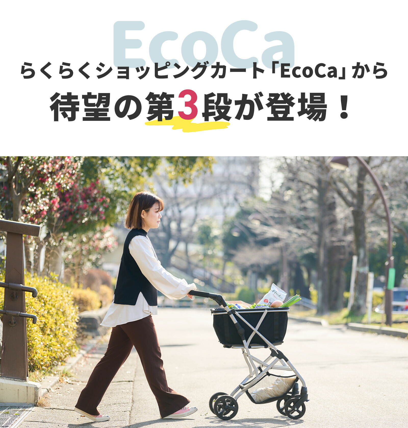 楽天市場】【超お得3点セット】高さ調節可能 軽量4.35kg 低身長 (本体+