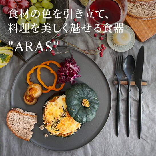 楽天市場】ARAS スクープ 直径25.7cm 割れない深皿 同色2枚組 深皿