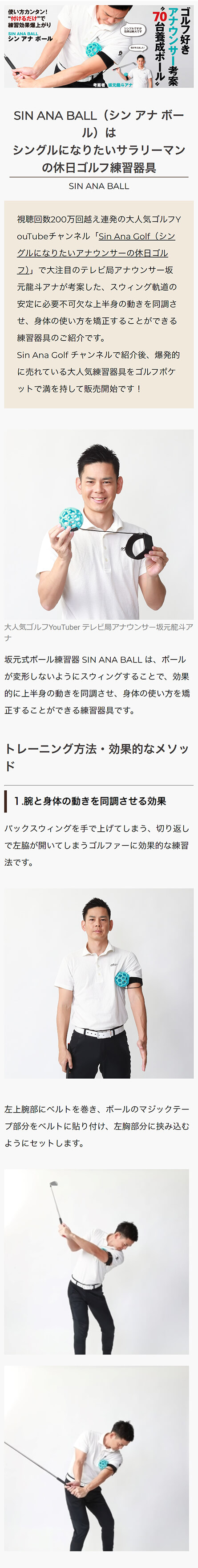 楽天市場】SIN ANA BALL シン アナ ボール 練習器具 ゴルフ 練習 器具