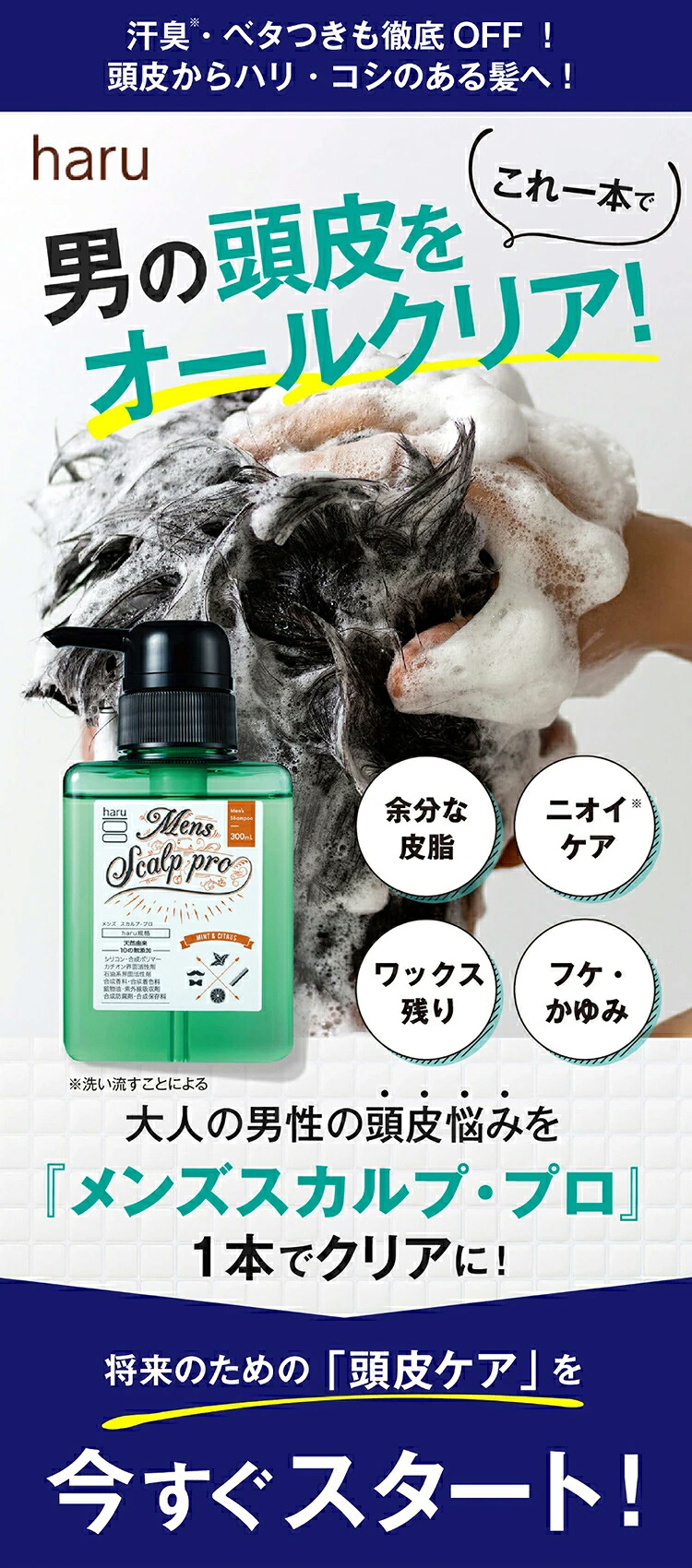 楽天市場】【3/1はP15倍】【haru 公式】ハル｜ haruシャンプー ハル