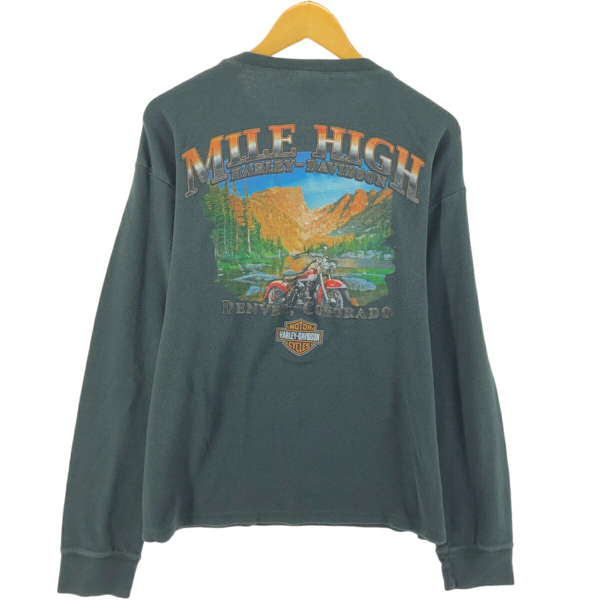 古着 ハーレーダビッドソン Harley-Davidson サーマルロングTシャツ