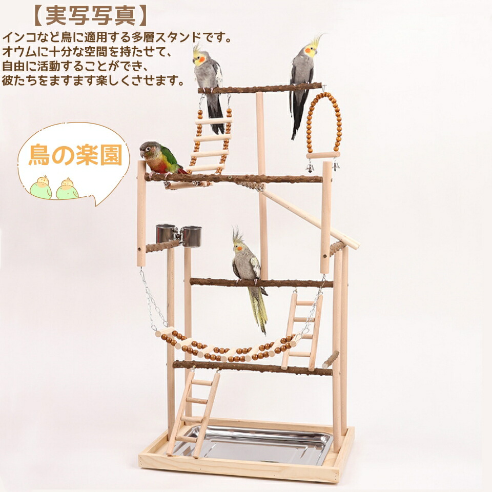 楽天市場】【お得なクーポン有り】インコ 遊び場 インコ おもちゃ