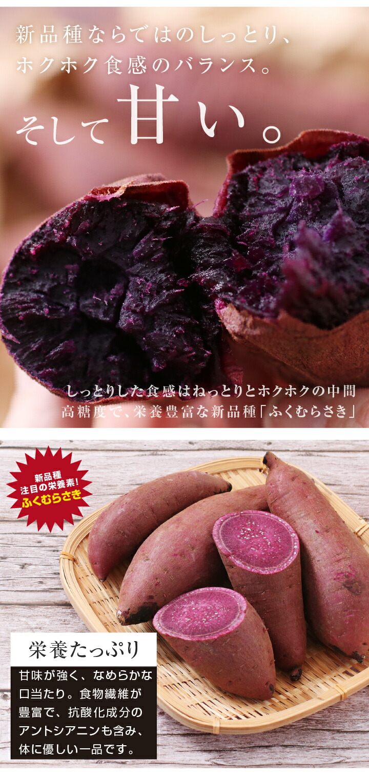 楽天市場】【送料無料】さつまいも 2kg 千葉県産 ふくむらさき 貯蔵