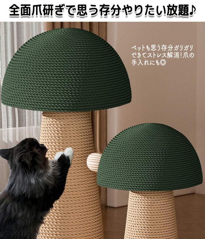 ドラミン】棚キノコ 付コルクシェルターM ③④ 棚キノコ 付コルク