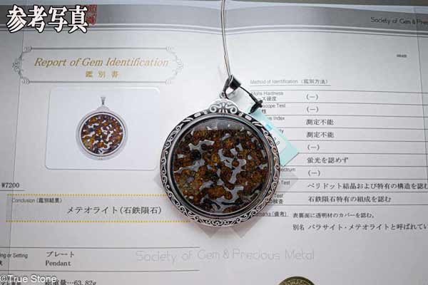 ◇エスケル隕石◇パラサイト隕石◇メテオライト◇ エスケル隕石