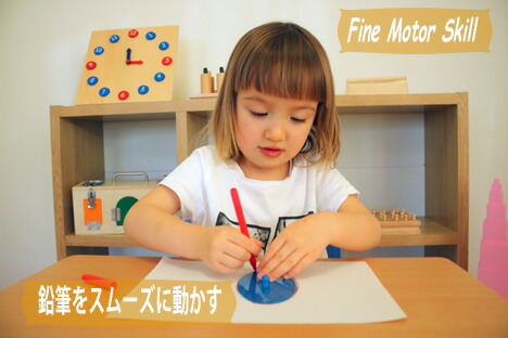 楽天市場】モンテッソーリ メタルインセッツ ♪スムーズに楽しく図形を