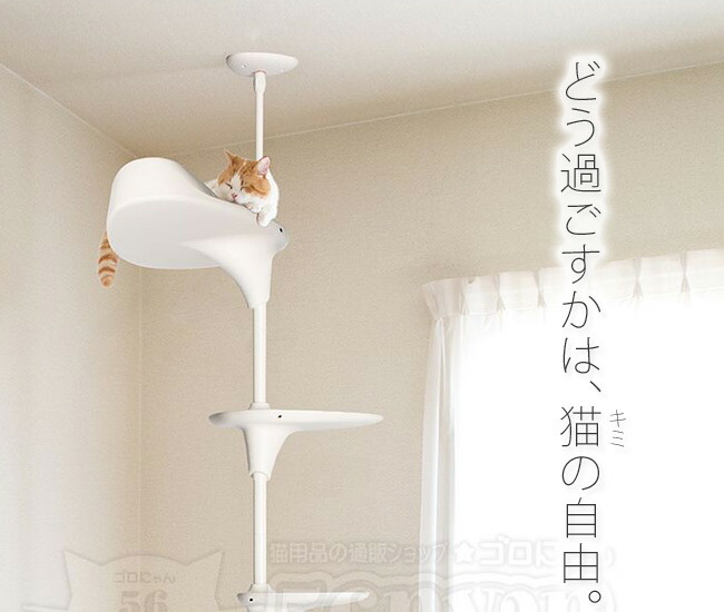 楽天市場】OPPO CatForest2 キャットフォレスト2 ホワイト (04344) Cat