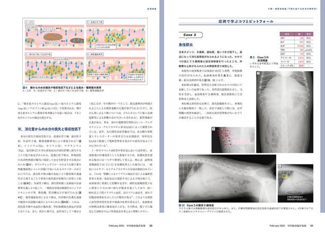 伴侶動物臨床検査 No.3（2025年2月号） 株式会社 緑書房
