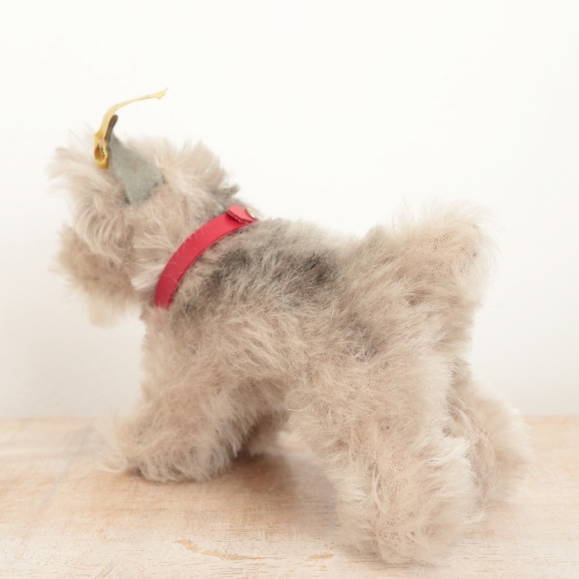 アンティーク シュタイフ シュナウザー Steiff Tessie 10cm