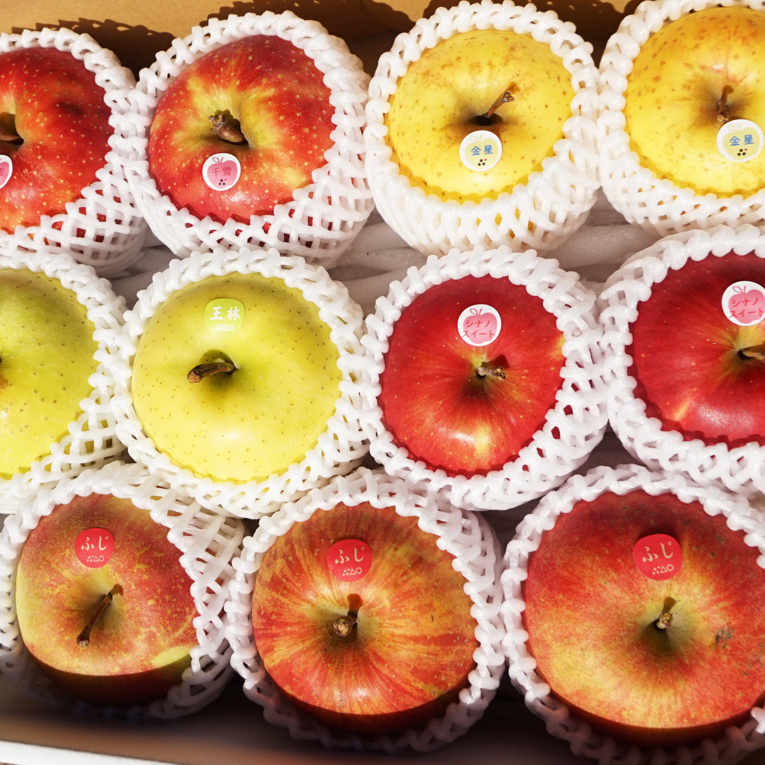 特別栽培りんご 詰め合わせ 家庭用りんご5種類食べ比べおまかせセット