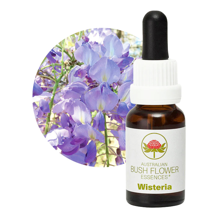 専用】#59ディーエヌエー64[DNA 64]アンジェリックフラワーエッセンス