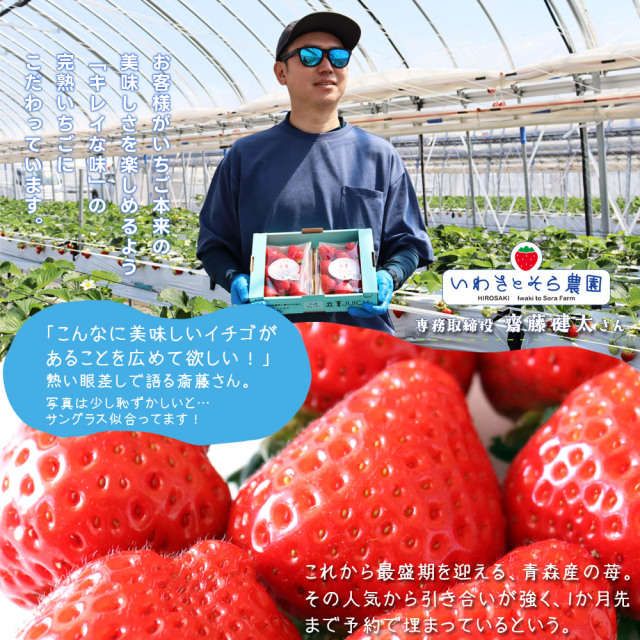 朝採り 完熟 いちご 【青森県産いちご 立夏JUICY 240g以上×2パック