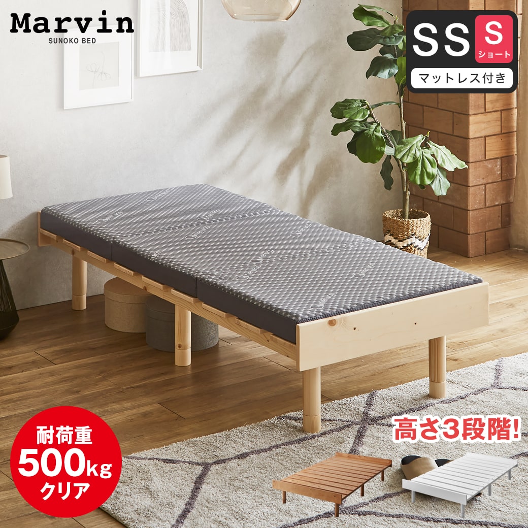 36113837.jpg?t=20241218124158