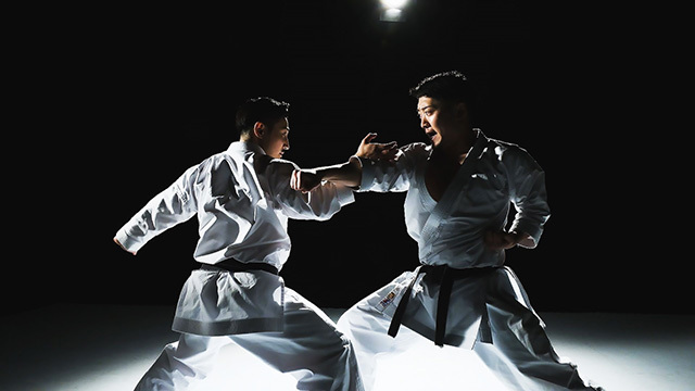 松涛館流空手道形教範全集「得意形2」 Vol.2 壮鎮・雲手 (DVD)