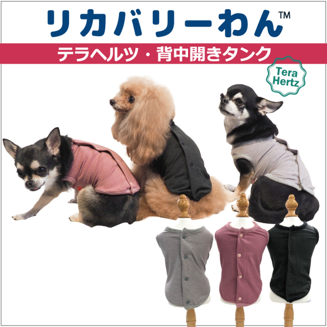 犬の服＆介護グッズの【クークチュール】