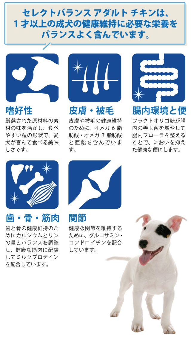 セレクトバランス アダルト チキン 中粒 3kg