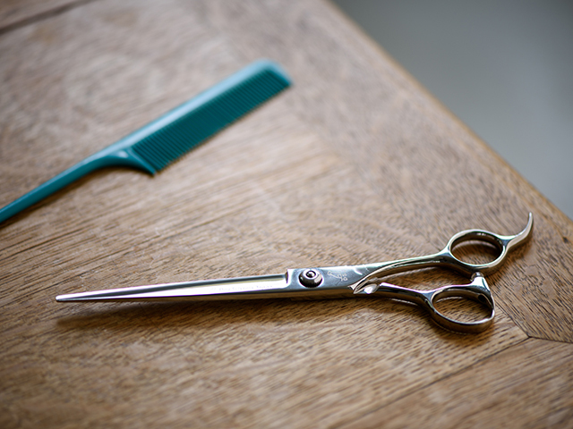 ドッグ シザーズ ジャパン モモ(Momo)ストレートシザー（straight