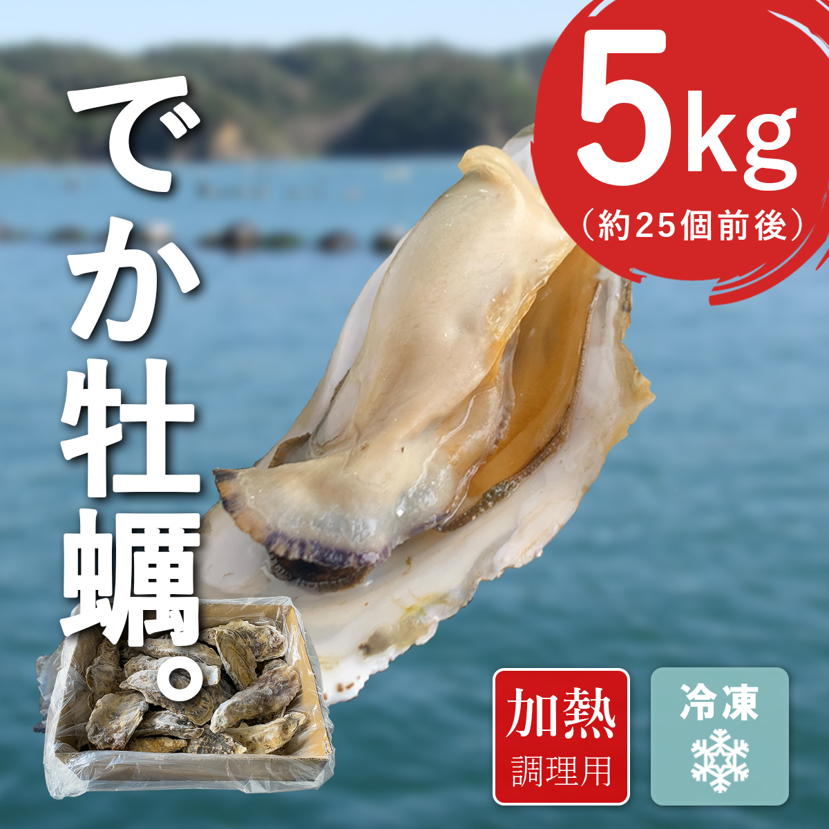加熱用｜宮城県産・冷凍殻付き牡蠣5kg【送料無料】 本田水産株式会社