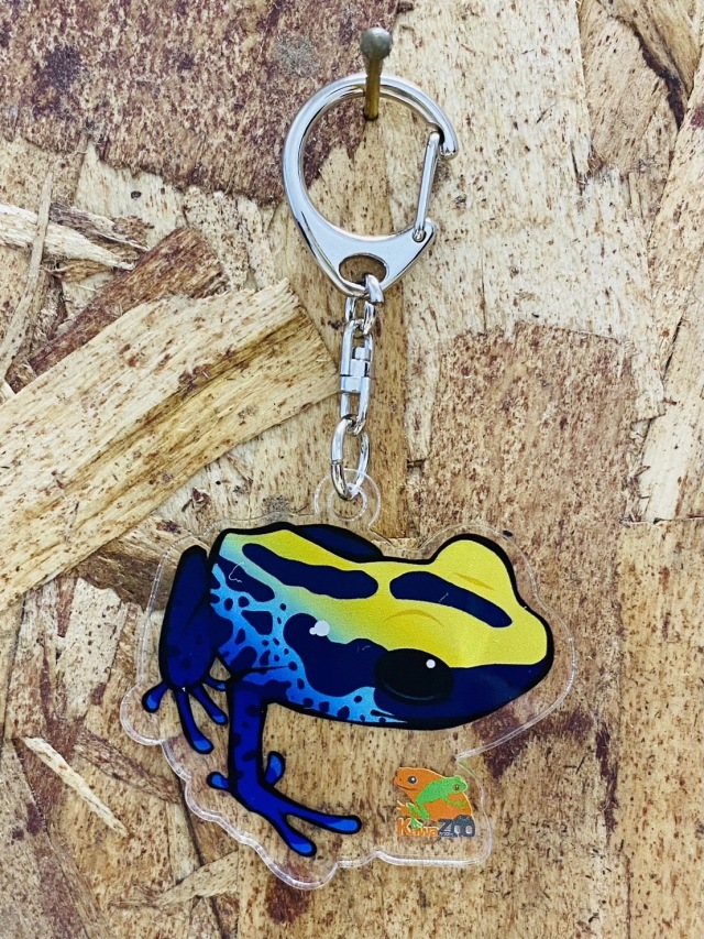 KawaZooオリジナル アクリルキーホルダー アイゾメヤドクガエル