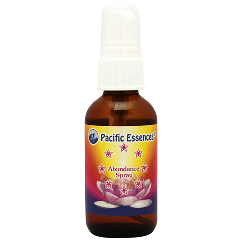 豊かさを引き寄せたい方、自己実現を目指している方にオススメの