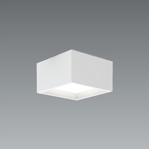 遠藤照明 スクエアシーリングライト 直付タイプ 3000lmTYPE EFG5450W