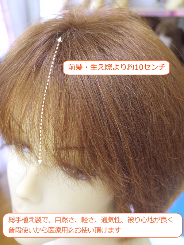 人毛ウィッグ ミディアムボブ 地肌付き 総手植え製 sc-hw800a