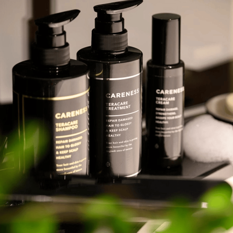 ケアネス テラケア トリートメント 400g ヒト毛根幹細胞 再生医療