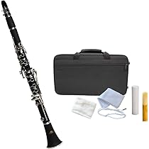 5103Fp91cUL._AC_UL210_SR210,