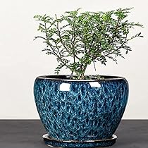 Amazon.co.jp: 植木鉢 flowerpot プランター 鉢 陶器鉢 植木鉢