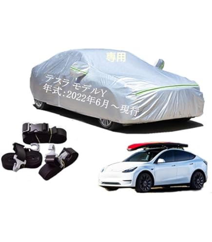 Amazon.co.jp: AUNAZZ テスラ モデル3 2019年5月～現行 専用専用純正