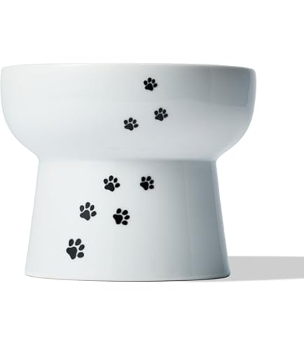 Amazon | 猫壱(necoichi)ハッピーダイニング 猫用 脚付ウォーター