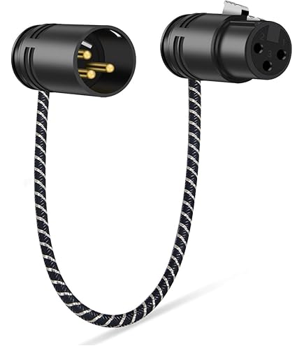 Amazon.co.jp: パナソニック (Panasonic)(Panasonic) DMW-XLR1 LUMIX