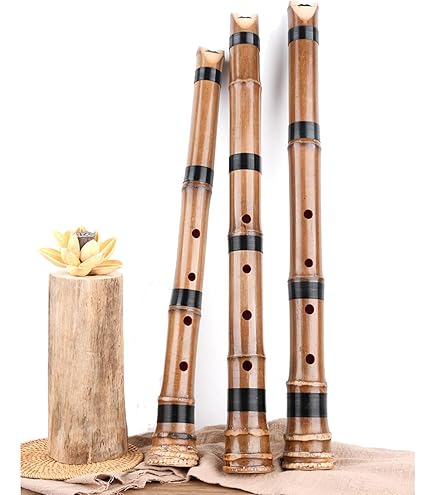 Amazon.co.jp: ゼンオン 尺八「玄」神永大輔監修 ゼンオンコラボモデル