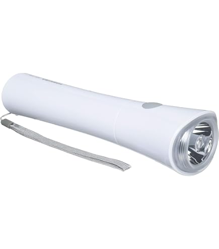 Amazon | パナソニック 蛍光灯付強力ライト BF-664F | パナソニック