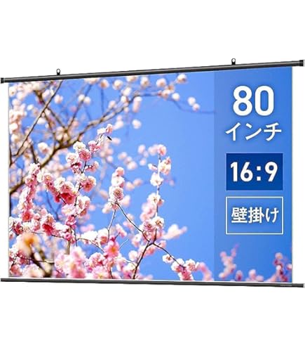 Amazon | SS-80HDWA/K Stylist SR | キクチ科学研究所 | スクリーン