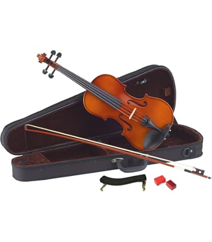 Amazon | EASTMAN VL80ｾｯﾄ 4/4 バイオリンセット (イーストマン