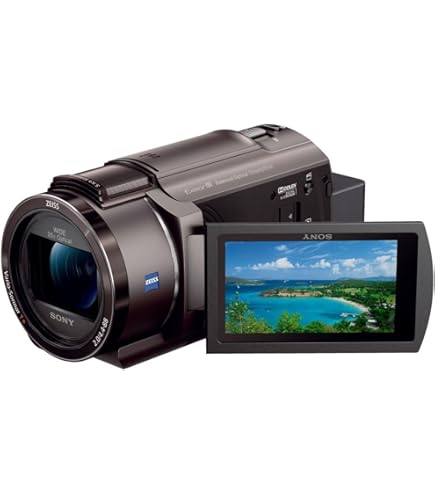 Amazon.co.jp: パナソニック 4Kビデオカメラ WX970M ワイプ撮り 軽量