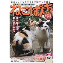 ねこぱんち ネコの目キラリ☆号 (にゃんCOMI) | アンソロジー |本