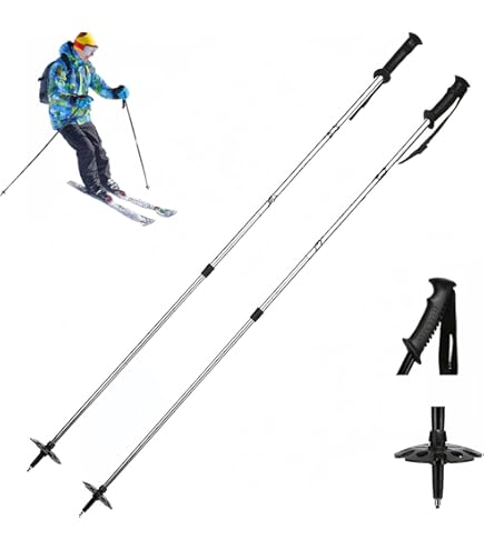 Amazon | SINANO シナノ スキー ポール・ストック ＜2022＞ フリーSV