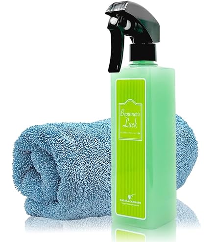 Amazon.co.jp: 【ながら洗車】スノーメンブラック『 誰でも泡洗車体験