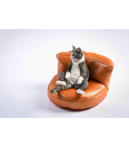 Amazon | Mr.Z 1/6 サイズ エキゾチック・ショートヘア 猫 可愛い 家猫