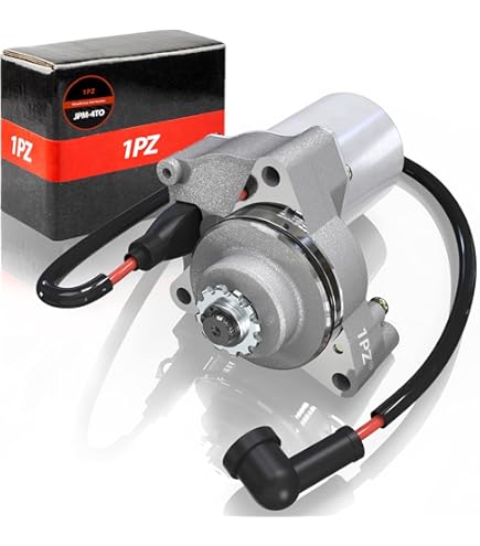 せるがおん 4枚セット せるがおん 4枚 せるがおん 4枚 せるがおん 4枚